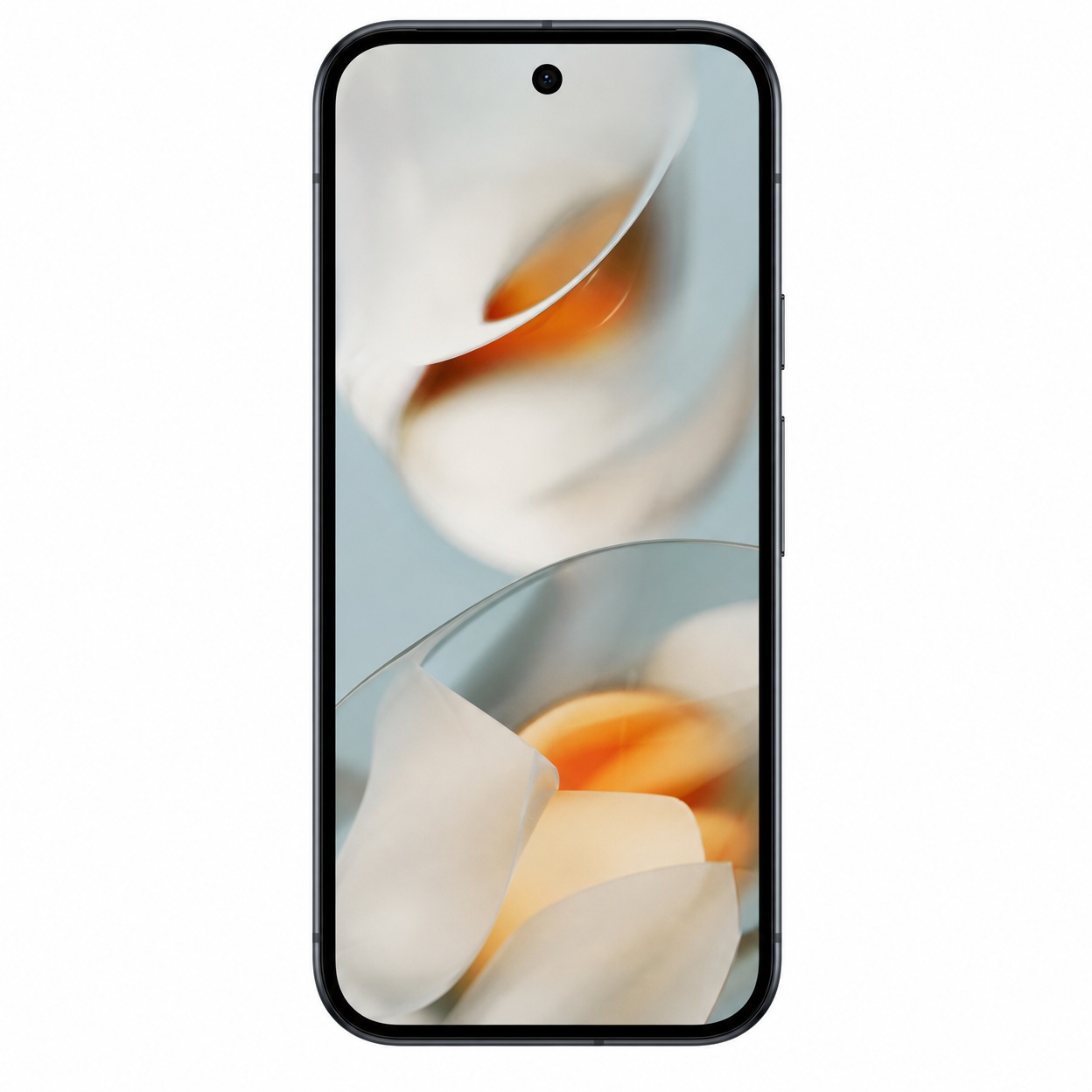 Google Pixel 9 - Gallery Image 2