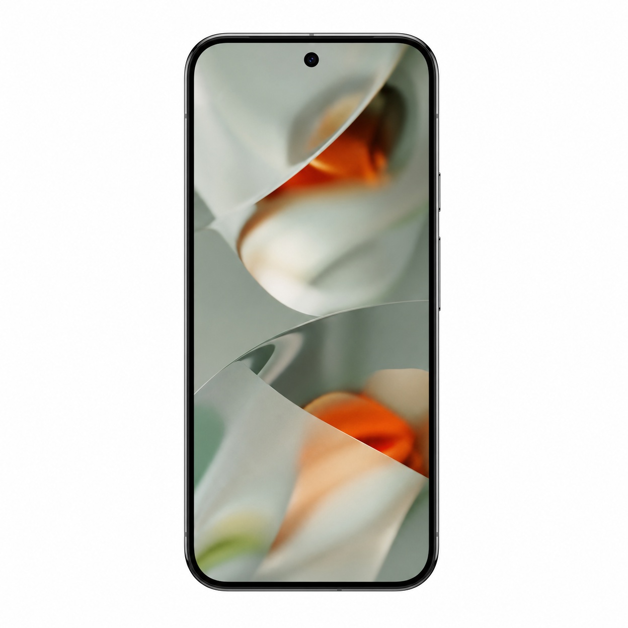 Google Pixel 9 Pro XL - Gallery Image 2